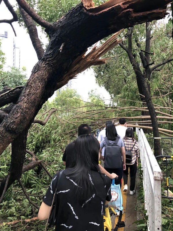 上班4S