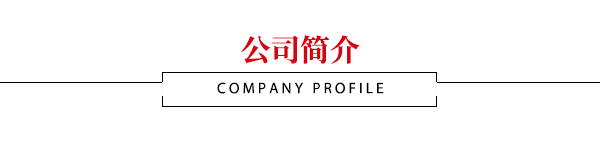 公司简介